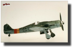 Focke Wulf Fw190 D. Scratch built in metal by Rojas Bazán. 1:15 scale. Made in 1994 Focke Wulf Fw190 D. Scratch built in metal by Rojas Bazán. 1:15 scale. Made in 1994